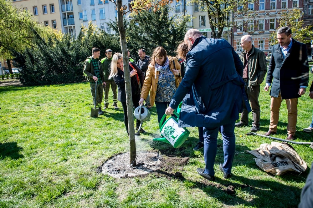 We Wrocławiu posadzono drzewo upamiętniające Pawła Adamowicza [FOTO]