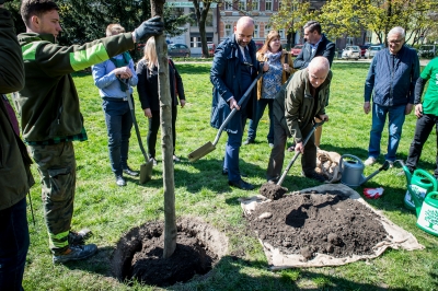 We Wrocławiu posadzono drzewo upamiętniające Pawła Adamowicza [FOTO] - 1