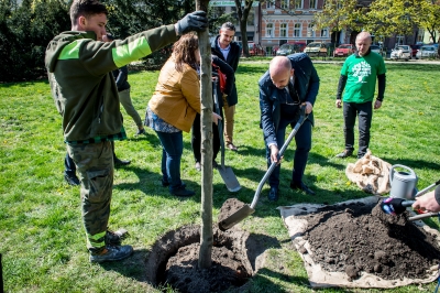 We Wrocławiu posadzono drzewo upamiętniające Pawła Adamowicza [FOTO] - 3