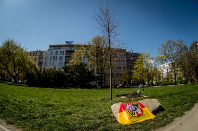 We Wrocławiu posadzono drzewo upamiętniające Pawła Adamowicza [FOTO] - 7