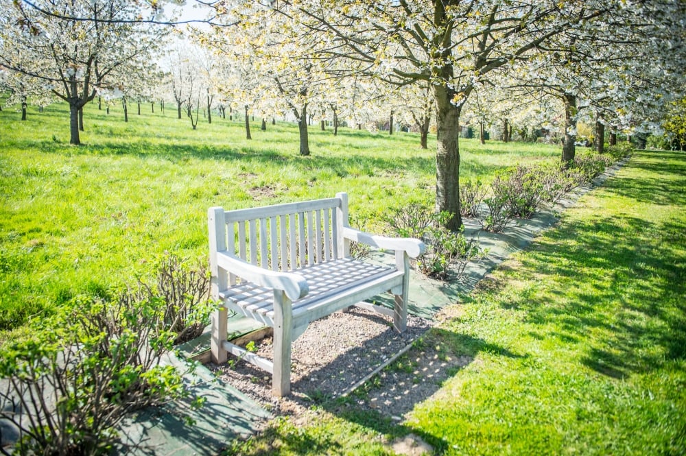 Pięknie jak w Arboretum. Genialne widoki z Arboretum UWr w Wojsławicach [ZDJĘCIA]