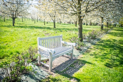 Pięknie jak w Arboretum. Genialne widoki z Arboretum UWr w Wojsławicach [ZDJĘCIA] - 0