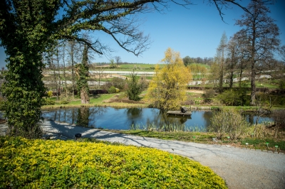 Pięknie jak w Arboretum. Genialne widoki z Arboretum UWr w Wojsławicach [ZDJĘCIA] - 10