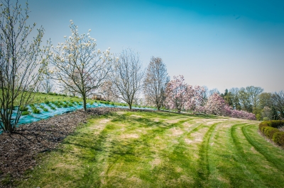 Pięknie jak w Arboretum. Genialne widoki z Arboretum UWr w Wojsławicach [ZDJĘCIA] - 3