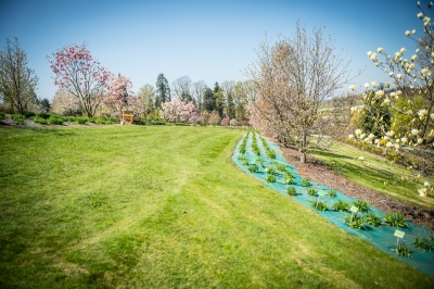 Pięknie jak w Arboretum. Genialne widoki z Arboretum UWr w Wojsławicach [ZDJĘCIA] - 4