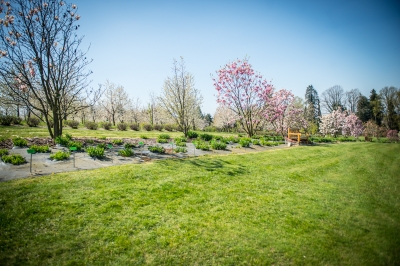 Pięknie jak w Arboretum. Genialne widoki z Arboretum UWr w Wojsławicach [ZDJĘCIA] - 5