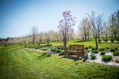 Pięknie jak w Arboretum. Genialne widoki z Arboretum UWr w Wojsławicach [ZDJĘCIA] - 6