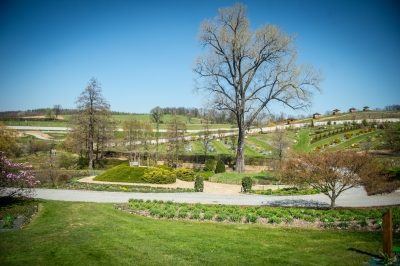 Pięknie jak w Arboretum. Genialne widoki z Arboretum UWr w Wojsławicach [ZDJĘCIA] - 8