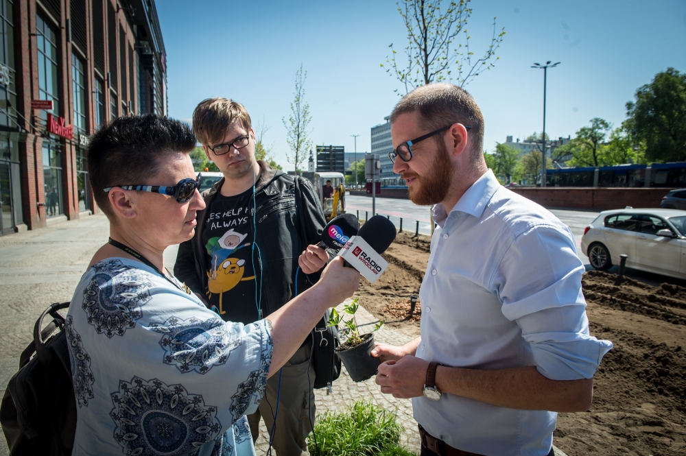 Wrocław: Posadzono drzewa przy Oławskiej tuż obok galerii handlowej [FOTO]