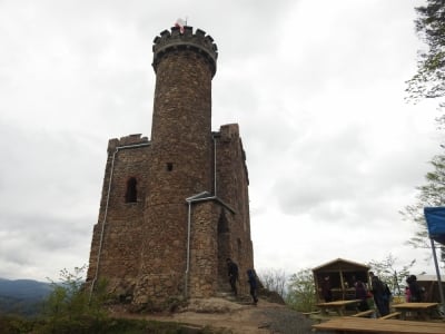 Warsztaty archeologiczne przy Zamku Henryka [ZDJĘCIA]