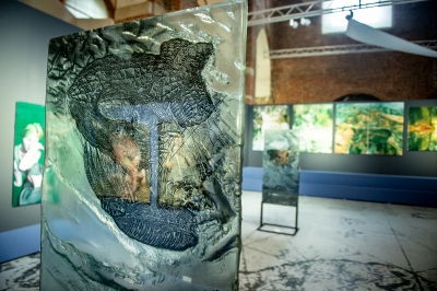 Wrocław: "Statek Robinsona" w Muzeum Architektury [FOTO] - 12