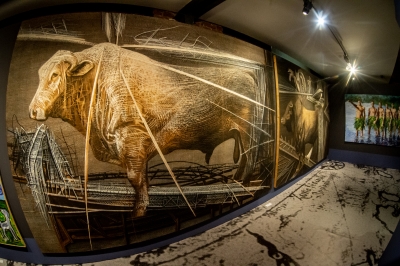 Wrocław: "Statek Robinsona" w Muzeum Architektury [FOTO] - 8