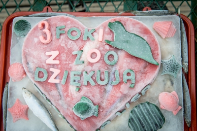 Wrocławskie foki otrzymały wyjątkowy prezent od siatkarzy [FOTO] - 3