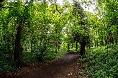 We Wrocławiu rusza cykl zwiedzania...zieleni - 16