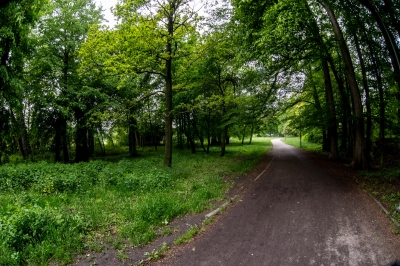 We Wrocławiu rusza cykl zwiedzania...zieleni - 18