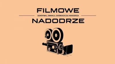 Wrocław: Spacery z przewodnikiem po artystycznym Nadodrzu