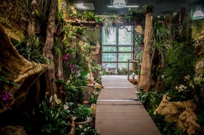 Tak wygląda nowa motylarnia we wrocławskim zoo [FOTO]