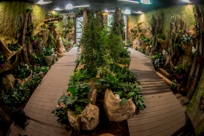 Tak wygląda nowa motylarnia we wrocławskim zoo [FOTO] - 10
