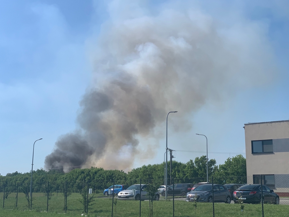 Duży pożar w miejscowości Gać koło Oławy - fot. Malwina Gadawa