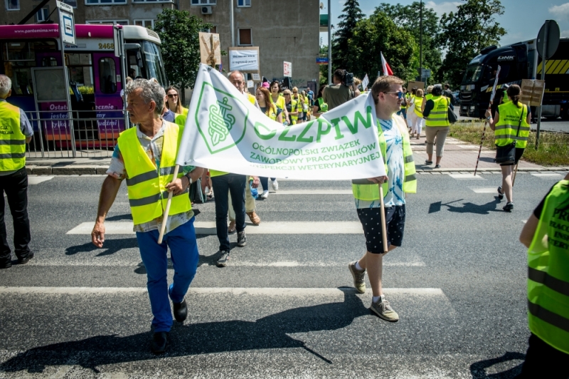 Wrocław: Trwa protest weterynarzy. Utrudnienia na ul. Ślężnej [ZDJĘCIA] - zdjęcia: Andrzej Owczarek