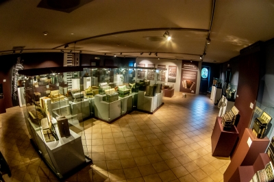 Wrocław: W Muzeum Etnograficznym możemy oglądać wystawę akordeonów [FOTO] - 13