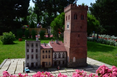 Ukwiecona podróż po miniaturowym świecie [ZDJĘCIA] - 11