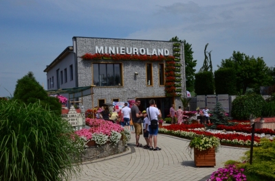 Ukwiecona podróż po miniaturowym świecie [ZDJĘCIA] - 14