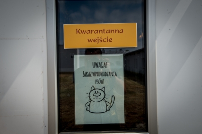 Smutne statystyki w schroniskach  dla zwierząt. "Wakacje" [ZDJĘCIA] - 6