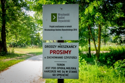Wrocław: Zielona Plaża z WBO. Wysoka trawa, chwasty i śmieci - 1