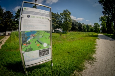 Wrocław: Zielona Plaża z WBO. Wysoka trawa, chwasty i śmieci - 8