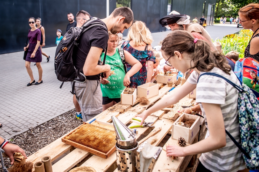 50 domk&oacute;w dla owad&oacute;w powstało we wrocławskim ZOO