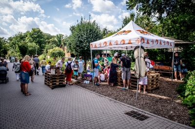 50 domków dla owadów powstało we wrocławskim ZOO - 13