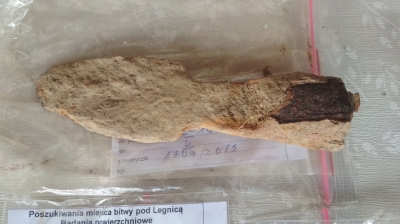 Legnickie Pole: Przyjechali z całej Europy, by szukać miejsca bitwy z 1241 roku - 0