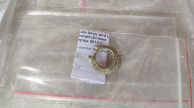 Legnickie Pole: Przyjechali z całej Europy, by szukać miejsca bitwy z 1241 roku - 1