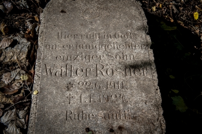 Wrocław: Kilkanaście niemieckich płyt nagrobnych w dzikim lasku - 1
