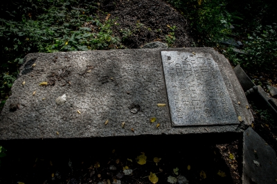Wrocław: Kilkanaście niemieckich płyt nagrobnych w dzikim lasku - 3