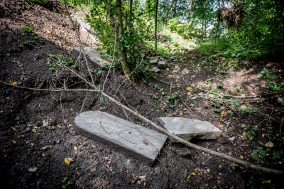Wrocław: Kilkanaście niemieckich płyt nagrobnych w dzikim lasku - 8