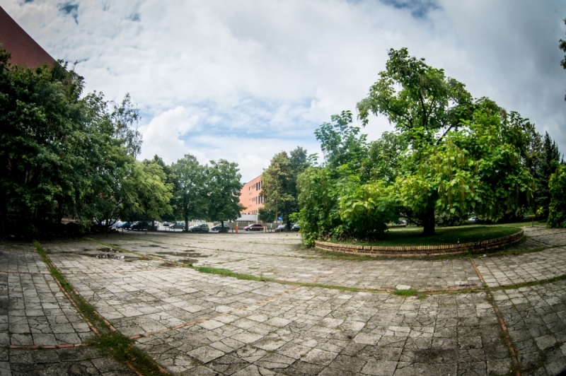 Dawny parking dla urzędników zmieni się w zielony skwer - fot. Andrzej Owczarek