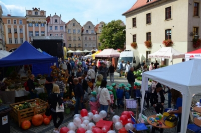 DRJ: Wyprodukowano pod Śnieżką