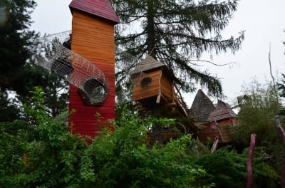 Festiwal Folklorum - Igrzyska turisedyjskie! - 18