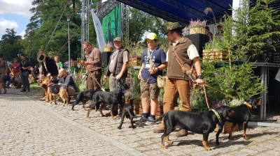 DRJ:  Zostań przyjacielem lasu