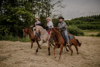 Wieczór swingowy i pokazy konne gwiazd festiwalu - 2