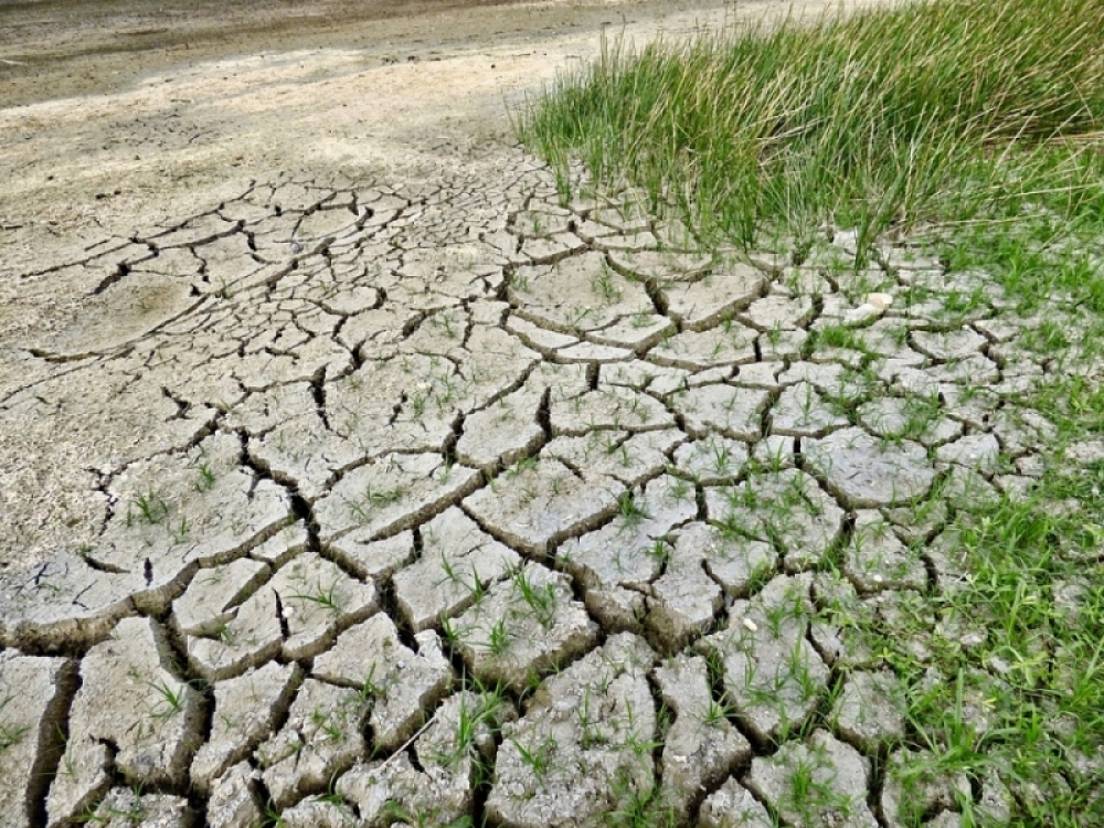 Samorządowcy rozmawiali o wyzwaniach klimatycznych - Fot. pixabay (zdjęcie ilustracyjne)