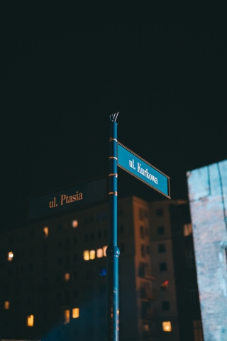 Wrocław: Prace artystów z całego świata pokazano na fasadach kamienic Nadodrza [ZDJĘCIA] - 23