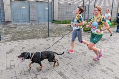 Wrocław: Ponad 750 osób wystartowało w Biegu Uniwersytetu Medycznego  - 15