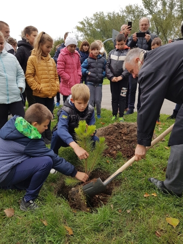 Dzień Drzewa w Wałbrzychu. W mieście zasadzą 1500 drzew - 1