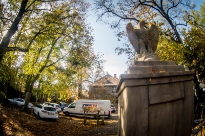 We Wrocławiu kręcą serial "Dom pod dwoma orłami" [FOTO] - 3