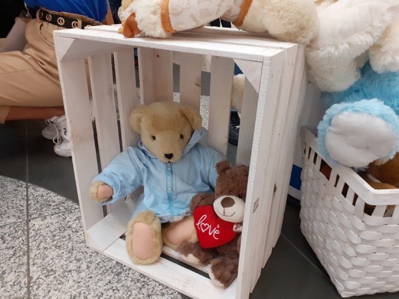 Wrocław: Adoptuj misia i wesprzyj fundację Wrocławskie Hospicjum dla Dzieci - B. Makowska