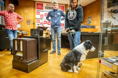 "Radio Wrocław na czterech łapach" [ZDJĘCIA] - 0