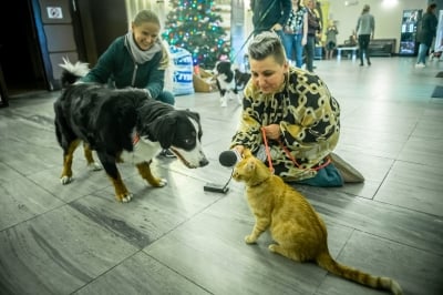 "Radio Wrocław na czterech łapach" [ZDJĘCIA] - 21